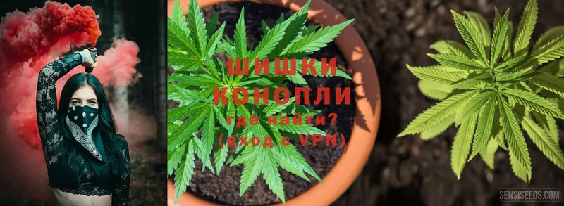 магазин    Стрежевой  Шишки марихуана Ganja 